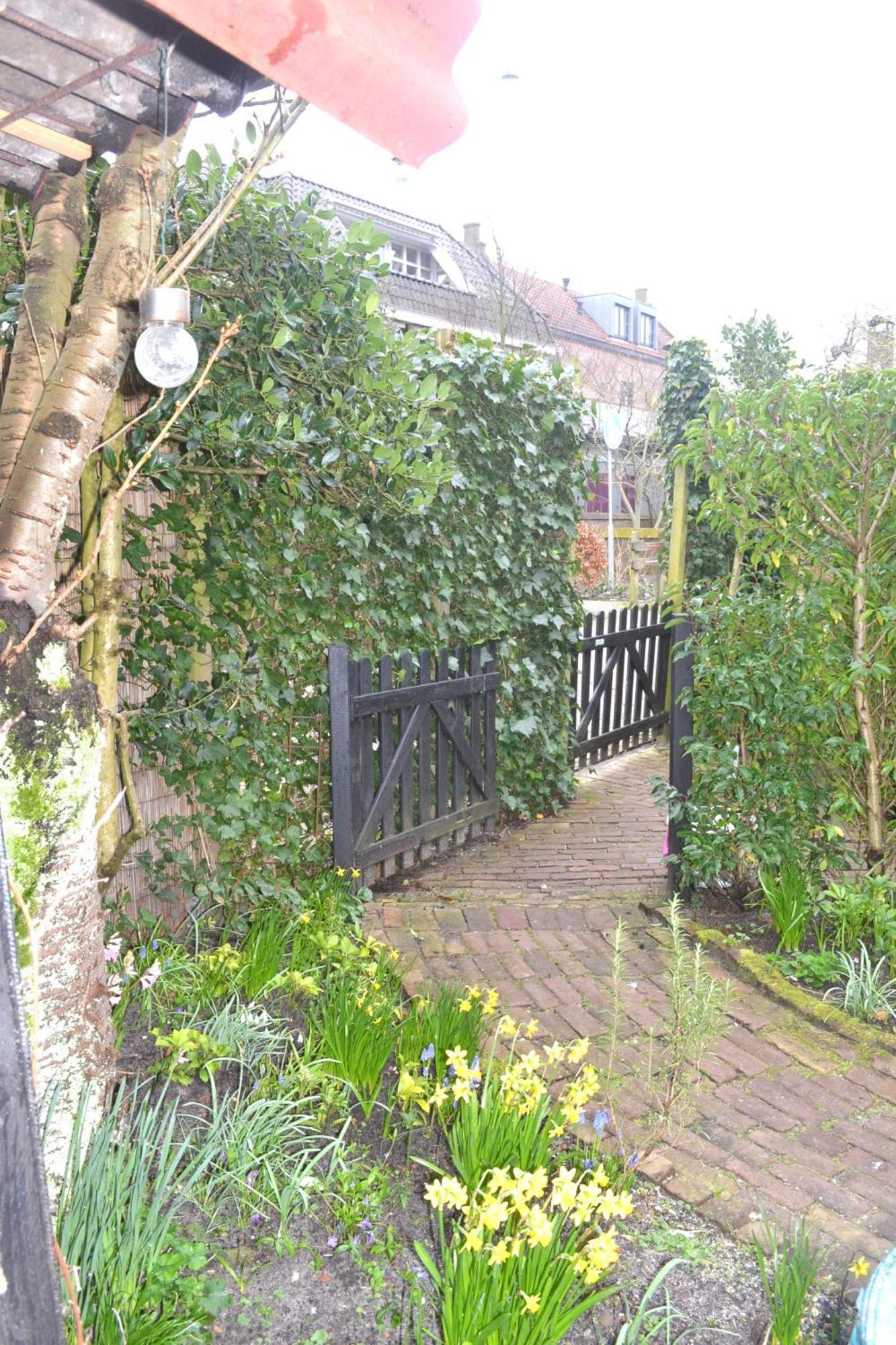 Studio Clematis Bergen Buitenkant foto